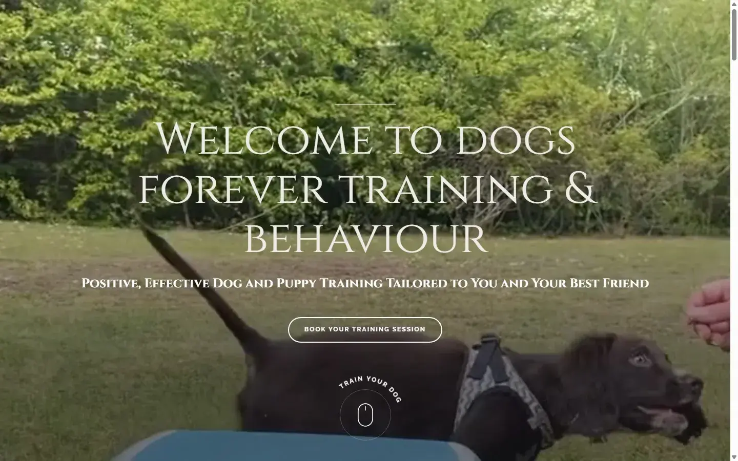Dogs Forever Training
